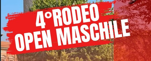 BANNERRODEO25